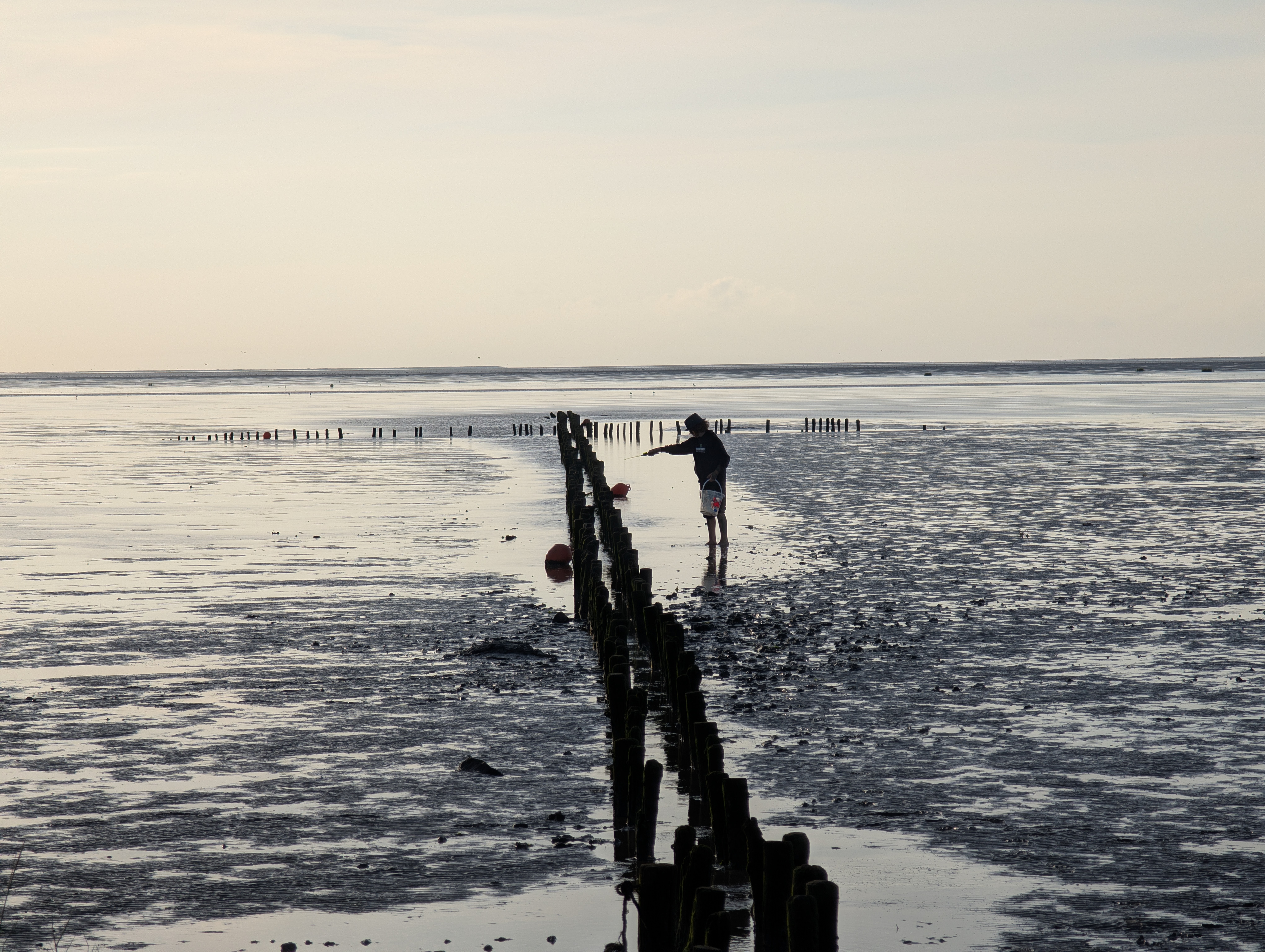 Strandkrabben "angeln"