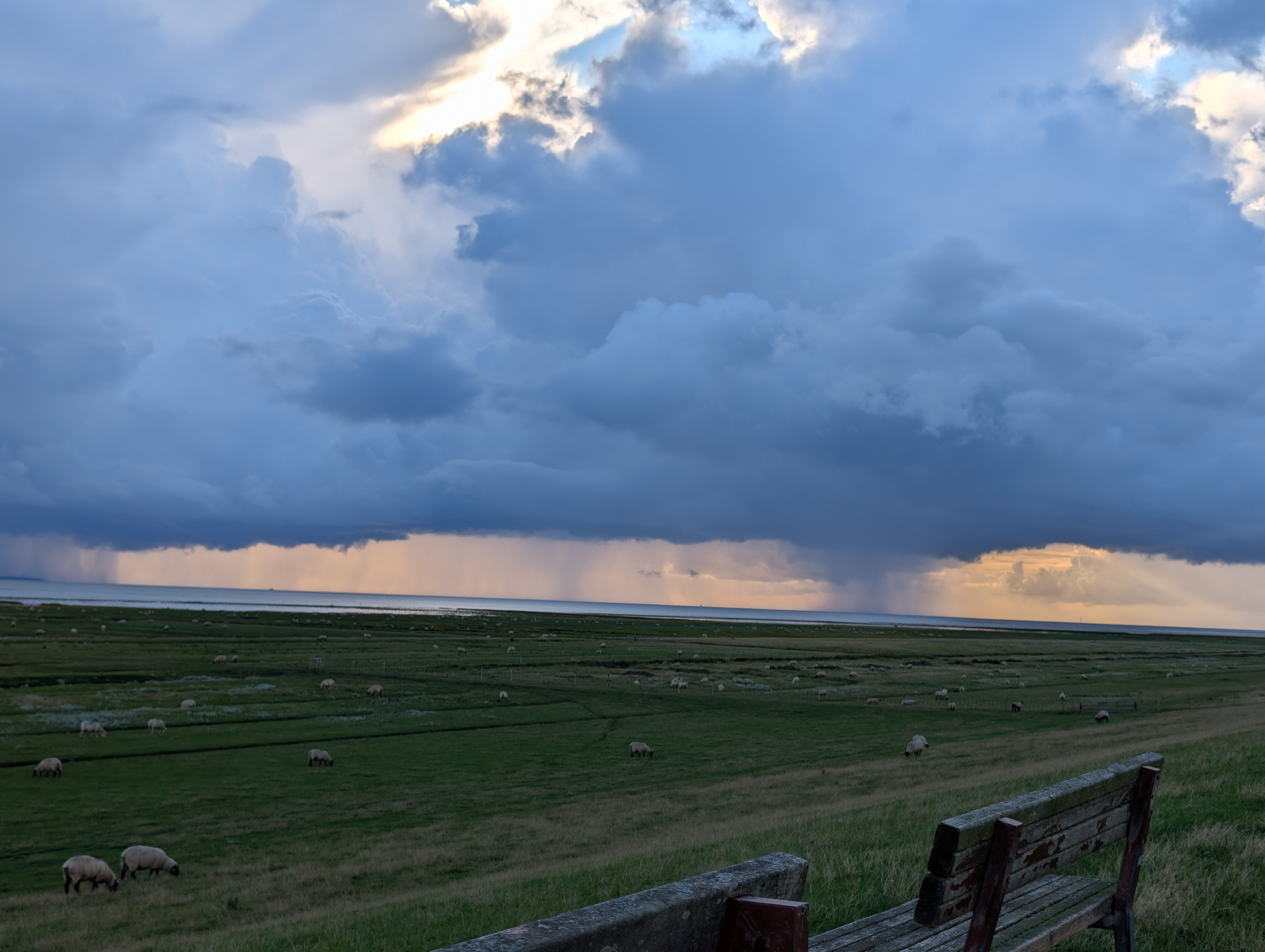Wind und Wetter am Sommerdeich